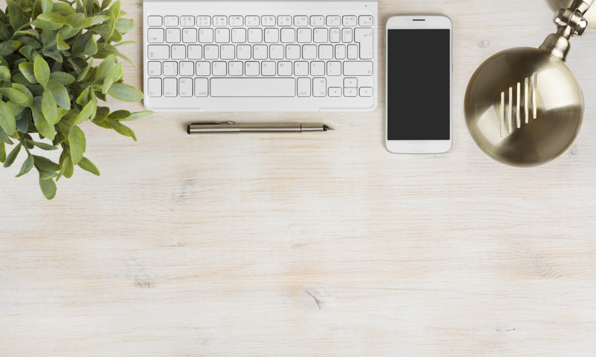 INFECTED Marketing & Medien OG